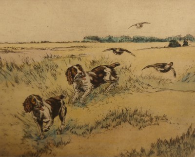 Lot 1036 - Henry Wilkinson (1921-2011) - Spaniels and...