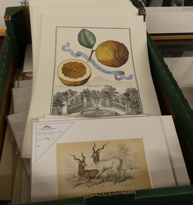 Lot 1049 - A collection of reproduction loose and mounted...