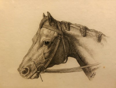 Lot 1054 - F. Pym - Study of a horses head, pencil...