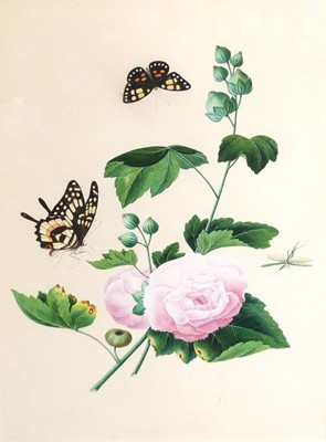 Lot 2430 - In the manner of Emma Salt (fl1821) A pair of...