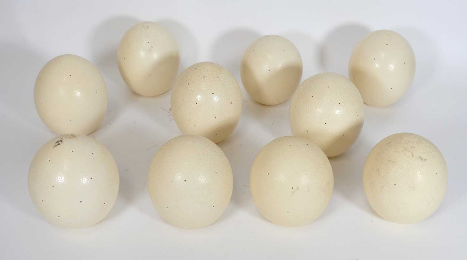 Lot 56 - A set of ten ostrich egg light shades, each...