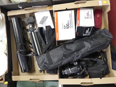 Lot 560 - A collection of photography equipment, to...