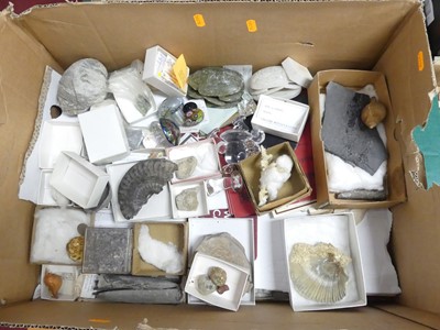Lot 582 - A collection of fossils, mineral specimens and...
