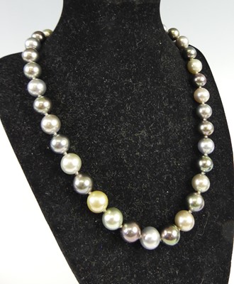 Lot 2812 - A cultured Tahitian grey pearl single string...