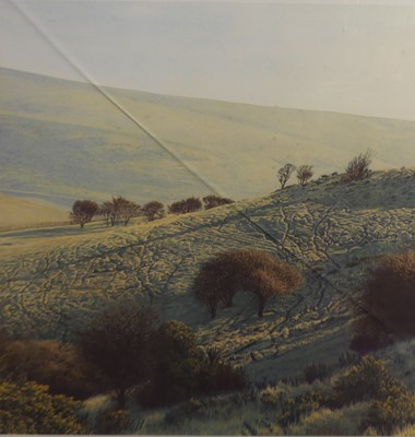 Lot 1023 - M. Elmden - Autumn frost, limited edition...