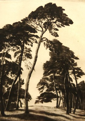 Lot 1049 - Alfred Blundell (1883-1968) - The Peaceful...