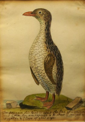 Lot 1069 - Attributed to Samuel Northcote - The Penguin,...