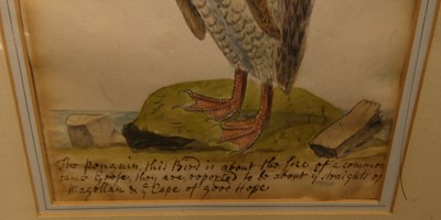 Lot 1069 - Attributed to Samuel Northcote - The Penguin,...