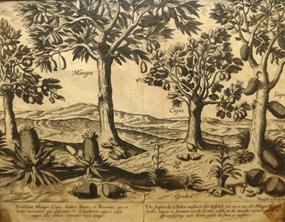 Lot 1122 - After Jan Huygen van Linschoten (Dutch...