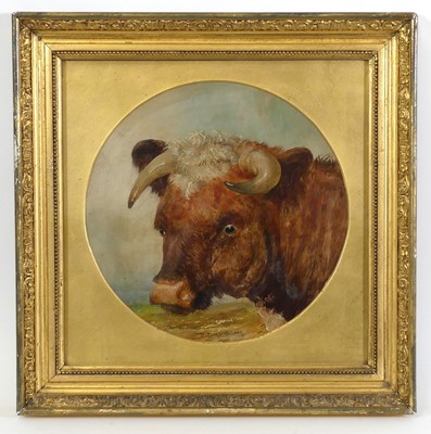 Lot 2402 - G.H. Holmes - Study of a prize bulls' head,...