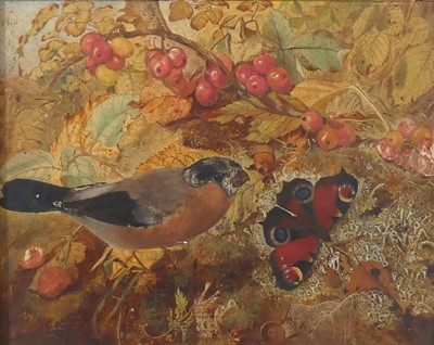 Lot 2429 - 19th century English school - Bullfinch and...