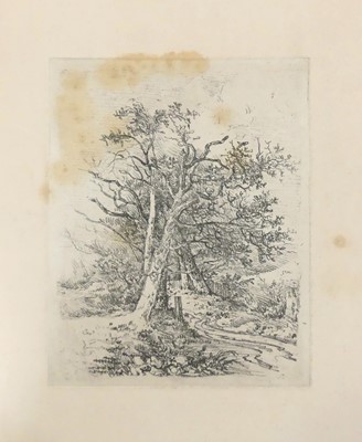 Lot 2422 - John Crome (1768-1821) - Tree trunks and...