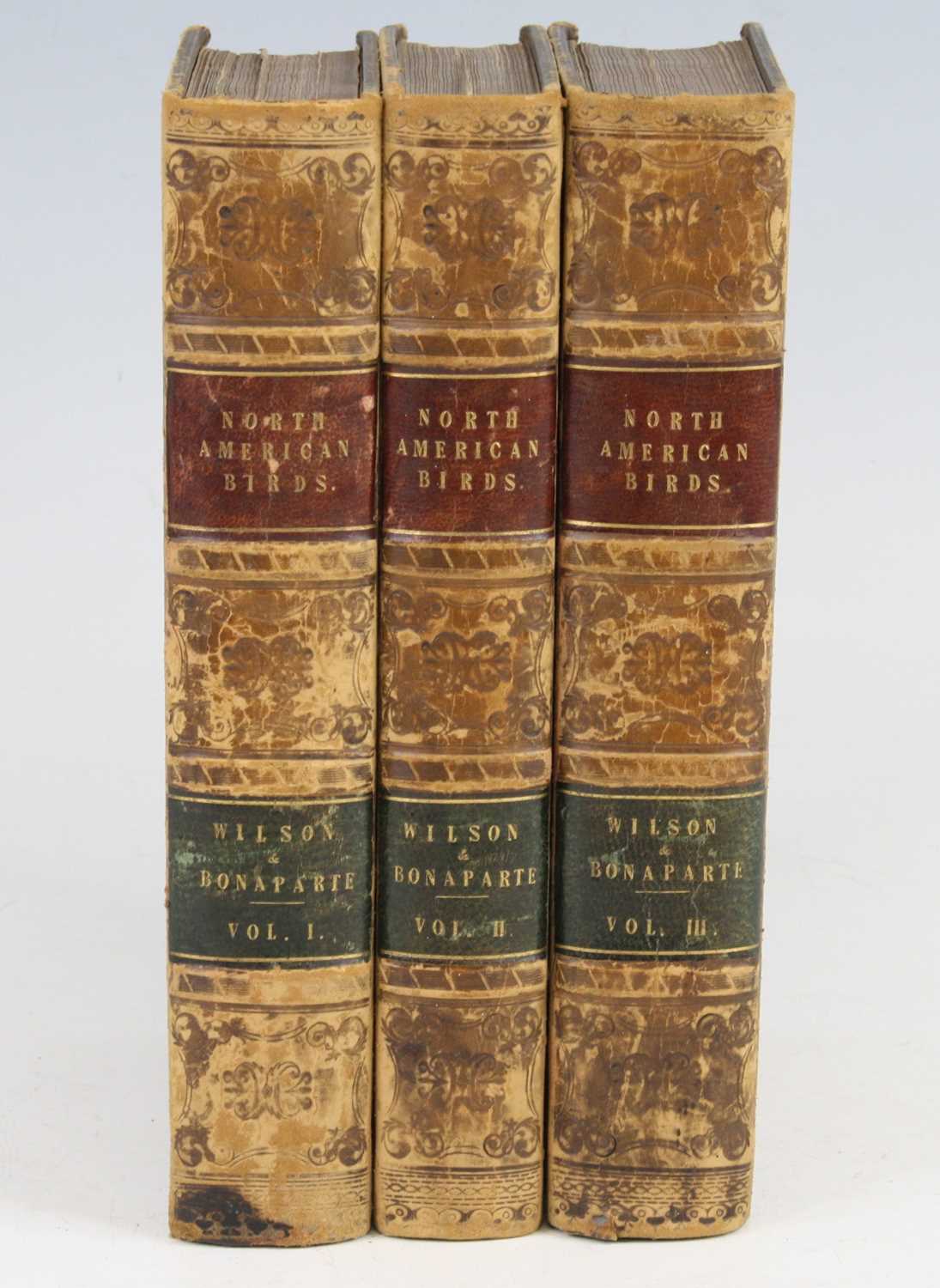 Lot 2020 - WILSON, Alexander; American Ornithology; or,...