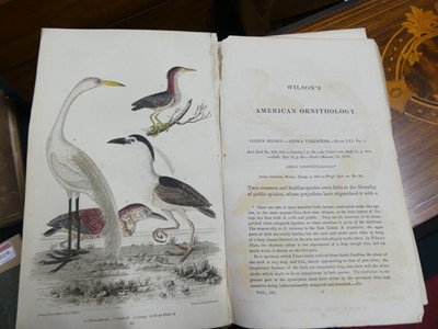 Lot 2020 - WILSON, Alexander; American Ornithology; or,...