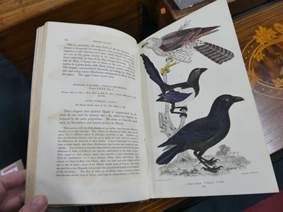Lot 2020 - WILSON, Alexander; American Ornithology; or,...