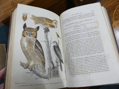 Lot 2020 - WILSON, Alexander; American Ornithology; or,...