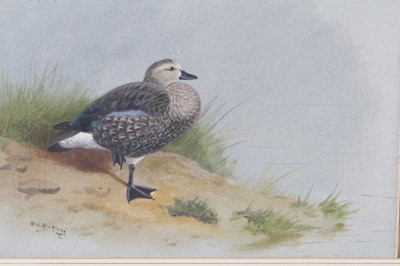 Lot 922 - Philip Rickman (1891-1982), Abyssinian...