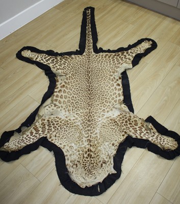 Lot 844 - An early 20th century taxidermy Leopard skin...