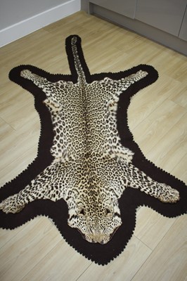 Lot 856 - An early 20th century taxidermy taxidermy...