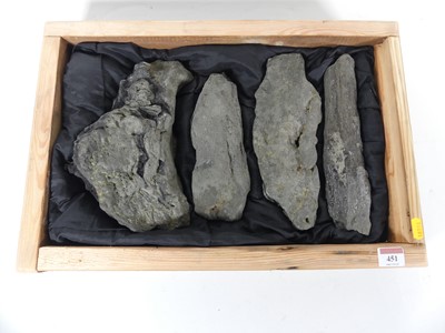 Lot 451 - A group of four fossilised dinosaur bone...