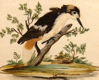 Lot 1116 - 19th century school - bird upon a branch,...