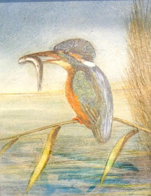 Lot 1124 - Early 20th century school - Kingfisher upon a...