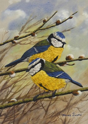 Lot 1157 - James Smith - pair bluetits, watercolour and...