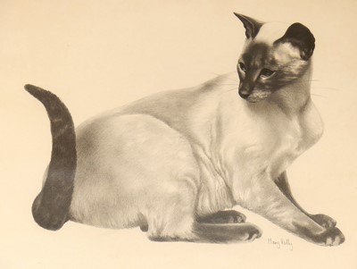 Lot 1160 - Mary Kelly - study of a Siamese cat, pencil,...