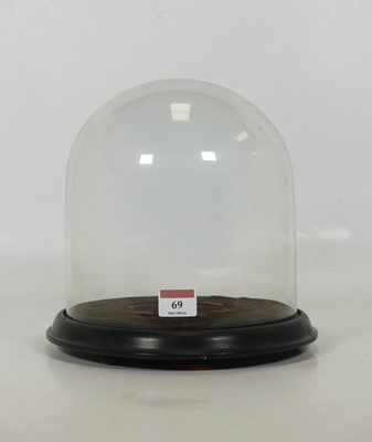 Lot 69 - A Victorian glass dome, on an ebonised stand,...