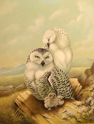 Lot 1006 - P. Welch - Owl family, acrylic, signed lower...