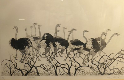 Lot 1021 - Hilda Bernstein (1915-2006) - Ostriches,...