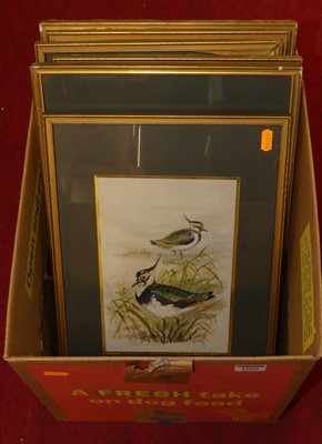 Lot 1086 - Winifrede Brewer - British birds, a set of...