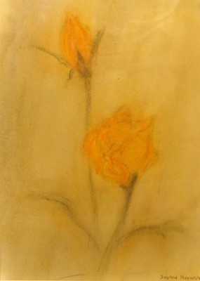 Lot 1067 - Daphne Reynolds (1918-2002) - Two roses, oil...