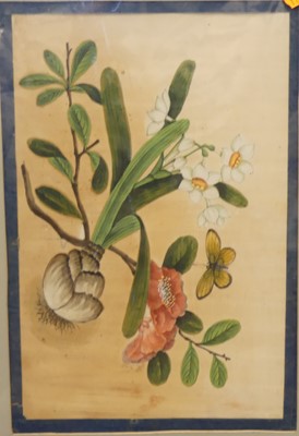 Lot 1140 - A 19th century botanical watercolour; together...