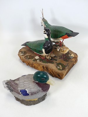Lot 90 - A painted figure group of two lapwings with...