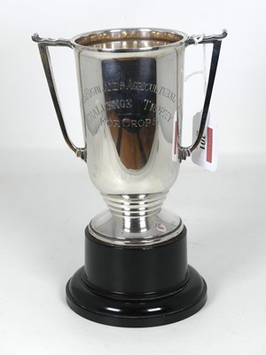 Lot 301 - A mid 20th century silver twin handled trophy...