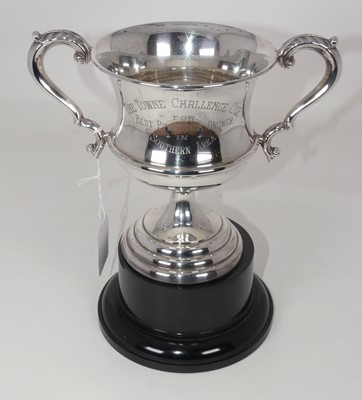 Lot 302 - An Elizabeth II silver trophy cup having ...