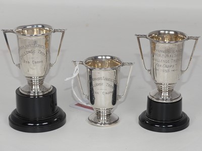 Lot 307 - A mid 20th century miniature silver twin...