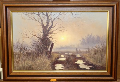 Lot 1056 - Kevin Curtis (1958-2009) - Puddles, oil on...