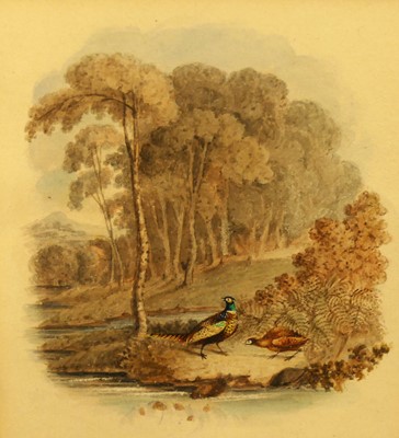 Lot 1113 - 19th century English school - Game Birds in a...